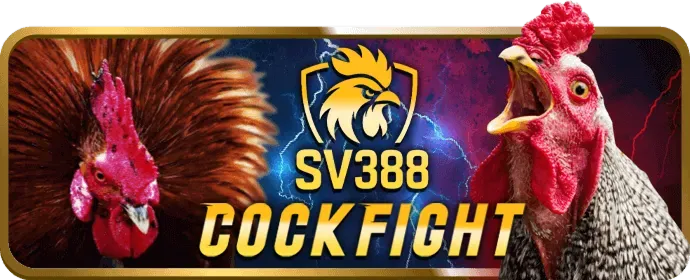Hình ảnh đội ngũ vv88 casino và sứ mệnh của họ